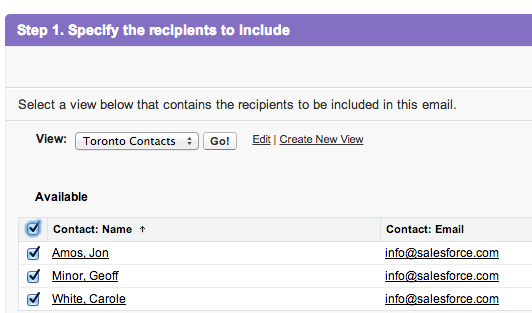 Salesforce Mass Email Contact View