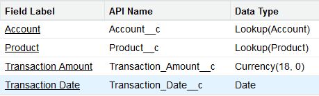 Salesforce Transaction Object