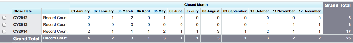 Salesforce Opportunity Reporting by Year and Month 2