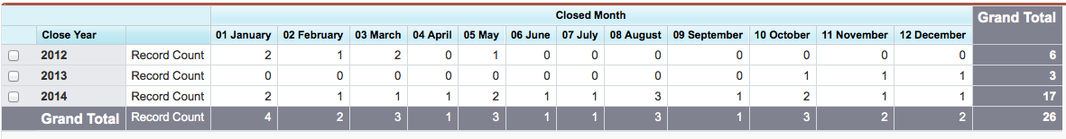 Salesforce Opportunity Reporting by Year and Month 3
