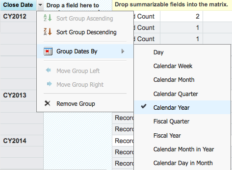 Salesforce Opportunity Reporting group by Calender year