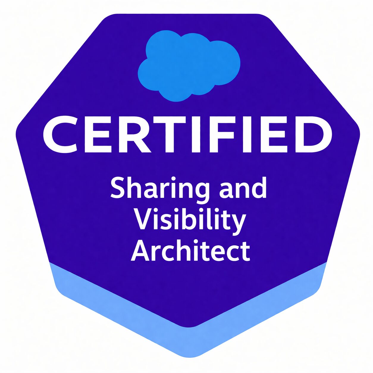 Sharing and Visibility Architect Badge